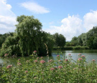 Lackford Lakes and West Stow CP